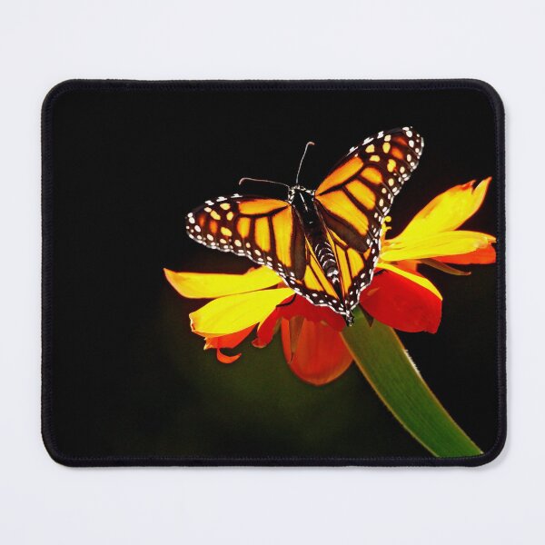Item preview, Monarch And Tithonia Light And Shadow designed and sold by Debbie Oppermann.