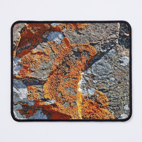 Item preview, Orange Lichen designed and sold by Debbie Oppermann.