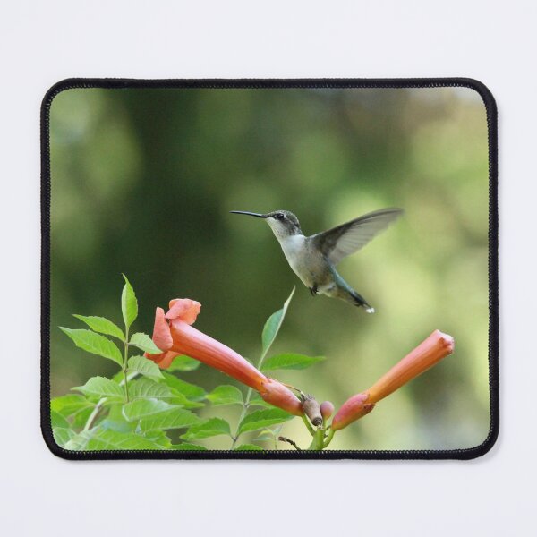 Item preview, Hovering Hummingbird  designed and sold by Debbie Oppermann.