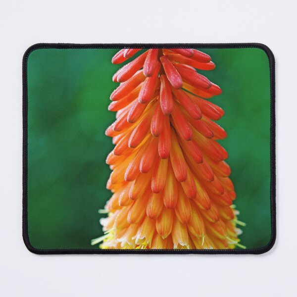 The Flame Mouse Pad