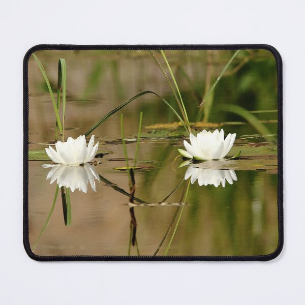 Item preview, Water Lily Duet designed and sold by Debbie Oppermann.