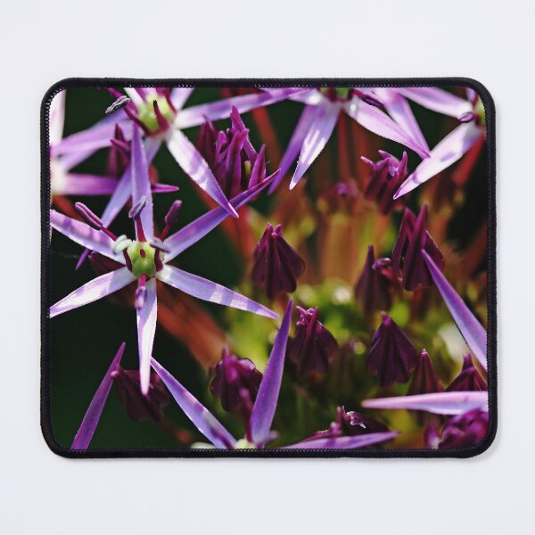 Item preview, Starry Allium Abstract designed and sold by Debbie Oppermann.