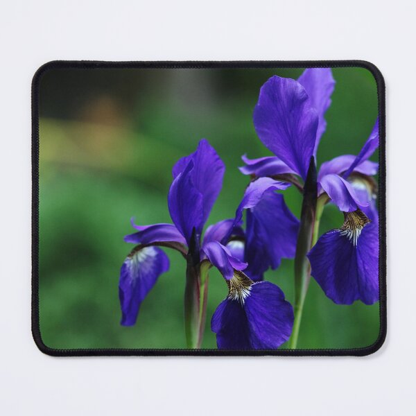 Item preview, Iris Blues designed and sold by Debbie Oppermann.