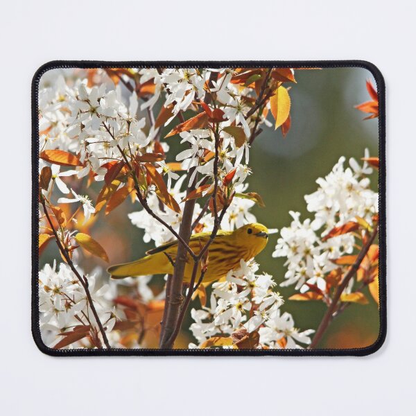 Item preview, Spring Delight  designed and sold by Debbie Oppermann.