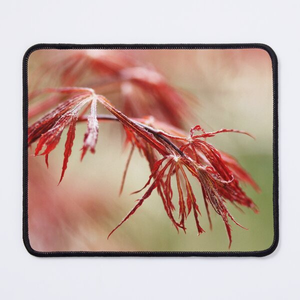Item preview, Red Lace designed and sold by Debbie Oppermann.