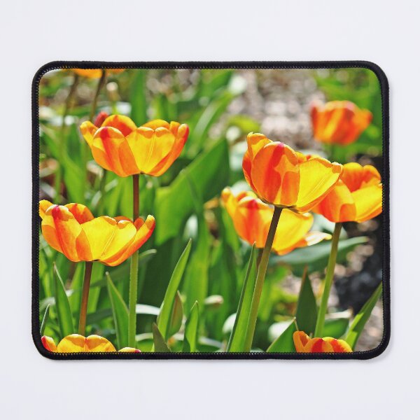 Item preview, Tulip Bouquet designed and sold by Debbie Oppermann.