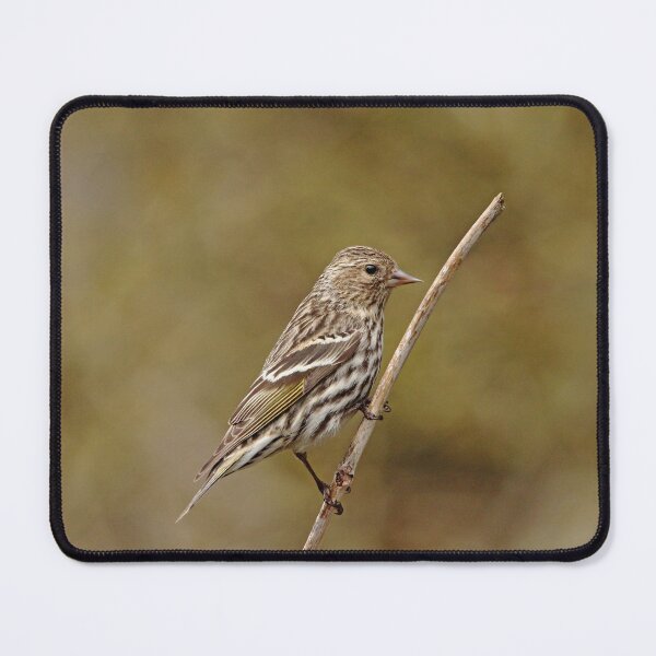Item preview, Pine Chirper designed and sold by Debbie Oppermann.