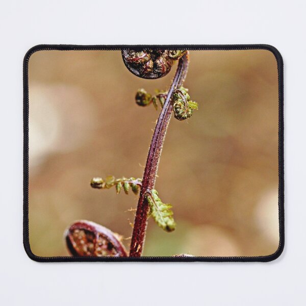 Item preview, Lady Fern Spirals designed and sold by Debbie Oppermann.