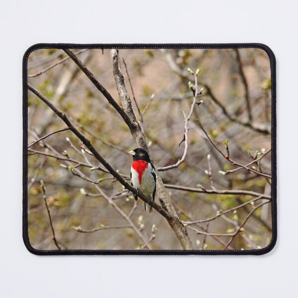 Item preview, Spring Grosbeak designed and sold by Debbie Oppermann.