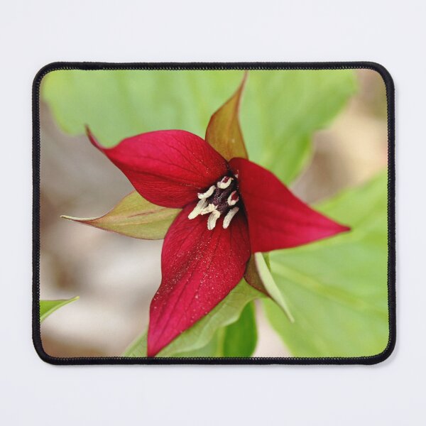 Item preview, Red Trillium designed and sold by Debbie Oppermann.