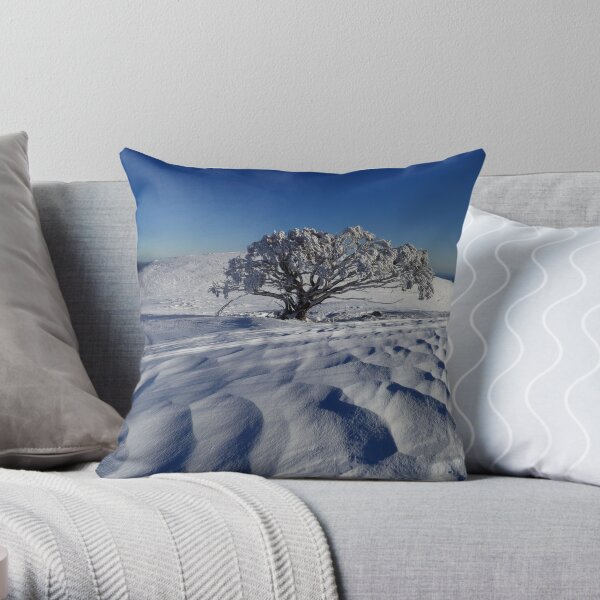 Endurance. Mt Stirling Throw Pillow