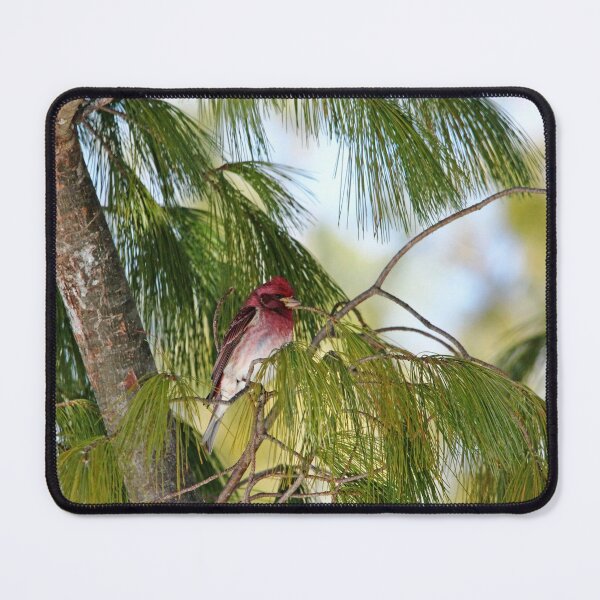 Item preview, Rosefinch designed and sold by Debbie Oppermann.