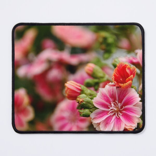 Item preview, Sunset Pink Lewisia designed and sold by Debbie Oppermann.