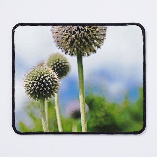 Item preview, Giant Globe Thistle designed and sold by Debbie Oppermann.