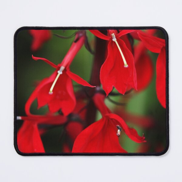 Item preview, Vision In Red designed and sold by Debbie Oppermann.