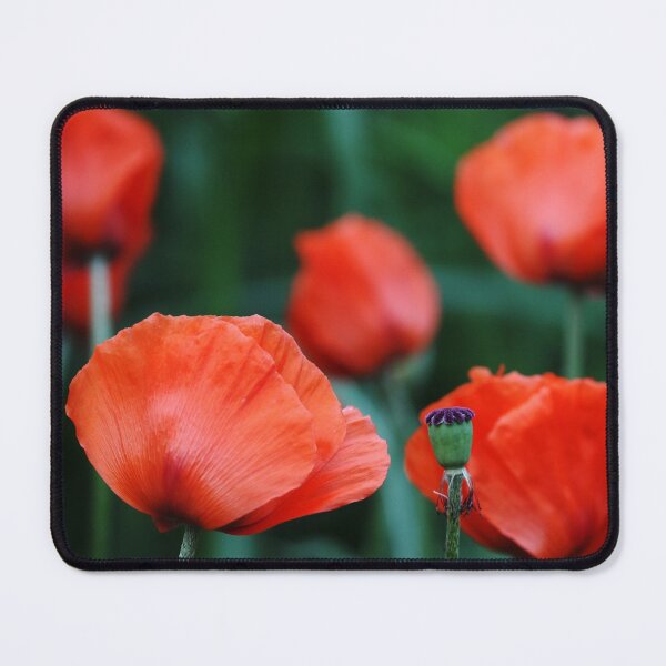Item preview, Where Poppies Grow designed and sold by Debbie Oppermann.