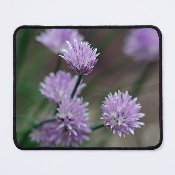 Item preview, Bouquet Of Chives designed and sold by Debbie Oppermann.