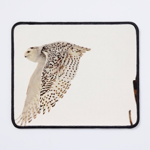 Item preview, Snowy Owl In Flight designed and sold by Debbie Oppermann.