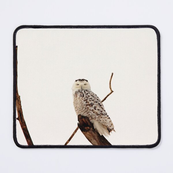 Item preview, Snoozing Snowy Owl designed and sold by Debbie Oppermann.