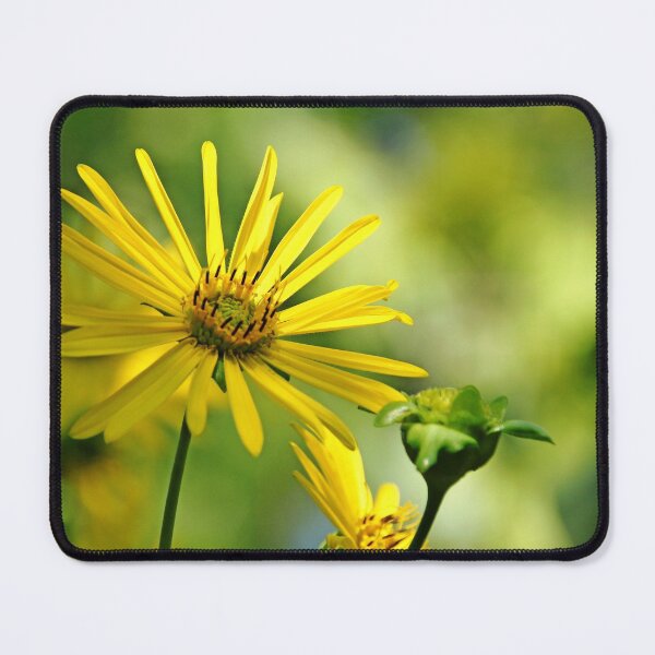 Item preview, Ray of Sunshine designed and sold by Debbie Oppermann.