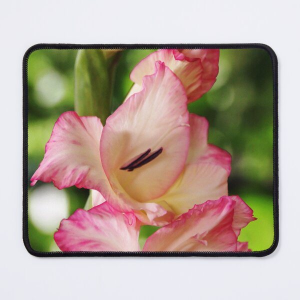 Item preview, Tickled Pink designed and sold by Debbie Oppermann.