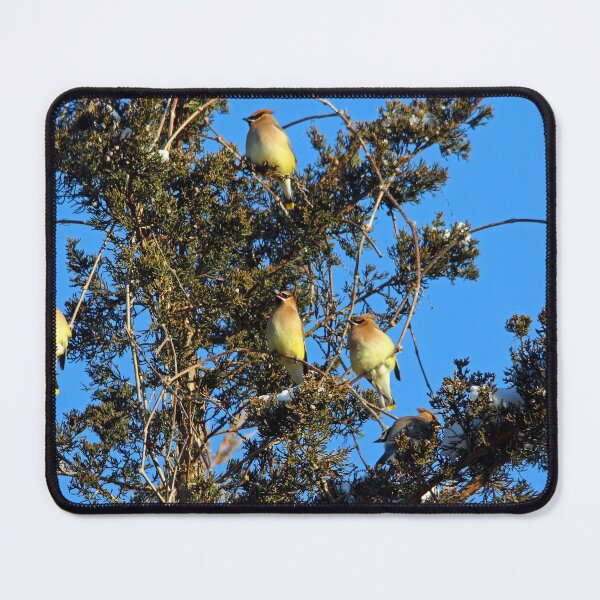 Item preview, Ear-Full Of Waxwings designed and sold by Debbie Oppermann.