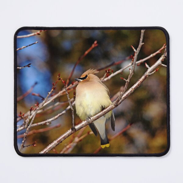 Item preview, Silky Beauty designed and sold by Debbie Oppermann.