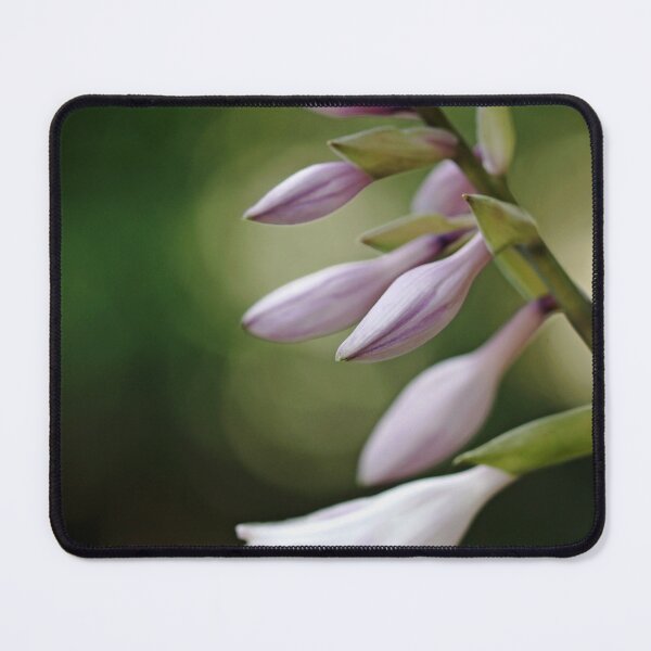 Item preview, Hosta Flower designed and sold by Debbie Oppermann.