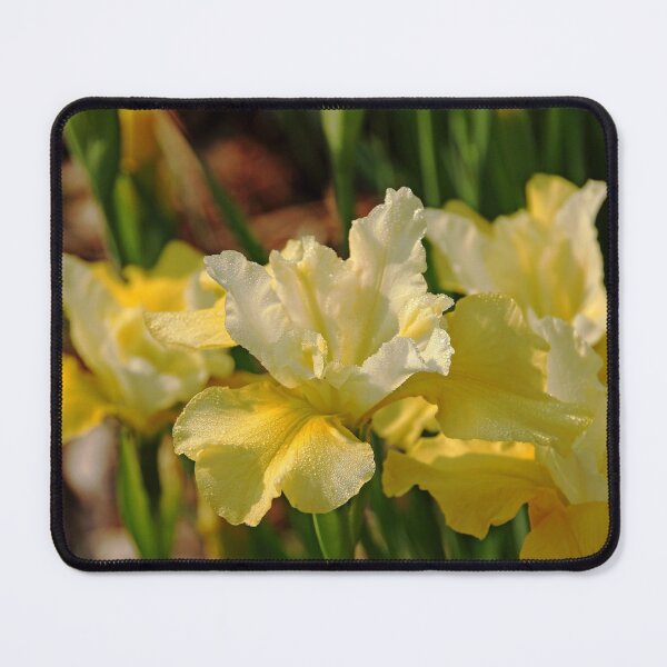 Item preview, Buttery Iris designed and sold by Debbie Oppermann.