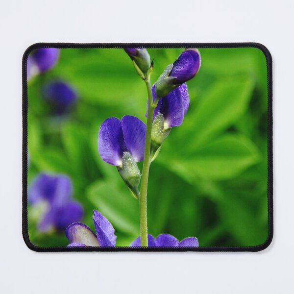 Item preview, Violet Blue designed and sold by Debbie Oppermann.