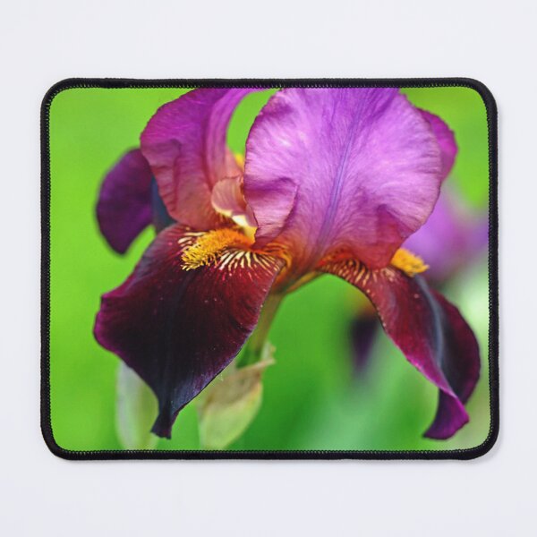 Item preview, Glowing Iris designed and sold by Debbie Oppermann.