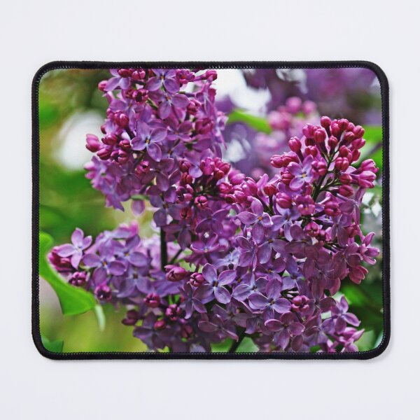 Item preview, Love And Lilacs designed and sold by Debbie Oppermann.