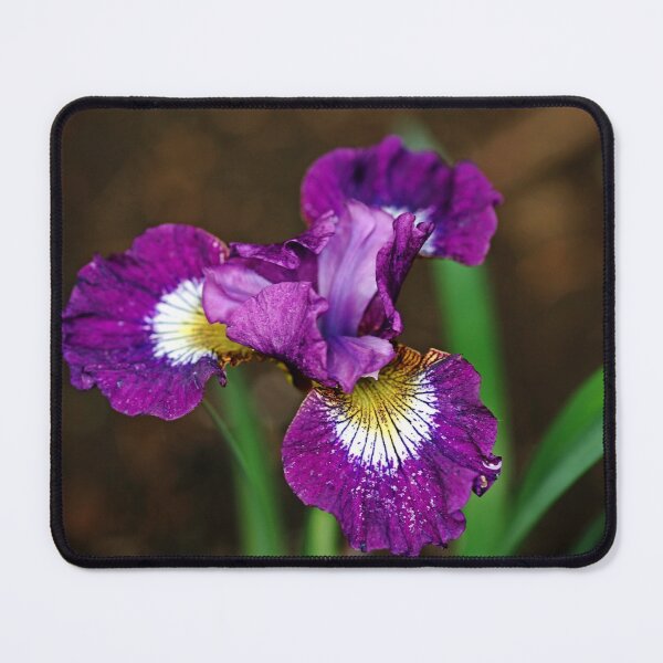 Item preview, Contrast In Styles designed and sold by Debbie Oppermann.