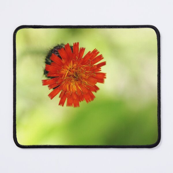 Item preview, Floating Orange Delight designed and sold by Debbie Oppermann.