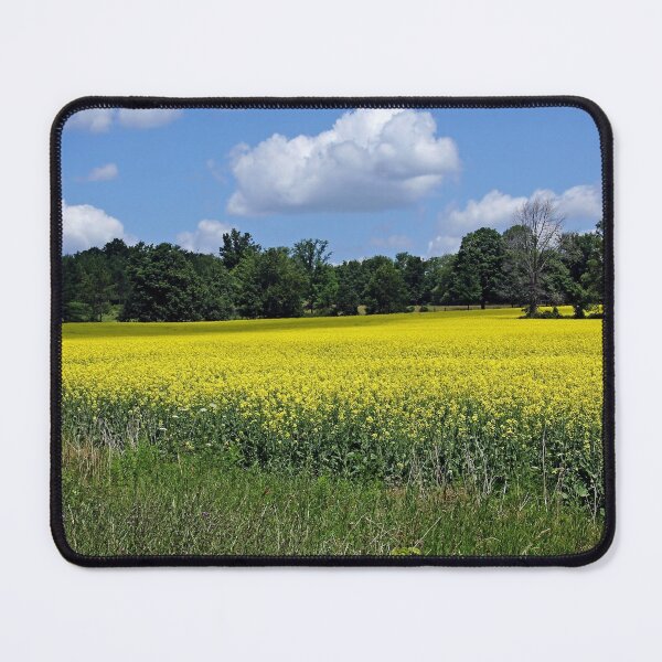 Item preview, Field of Gold designed and sold by Debbie Oppermann.