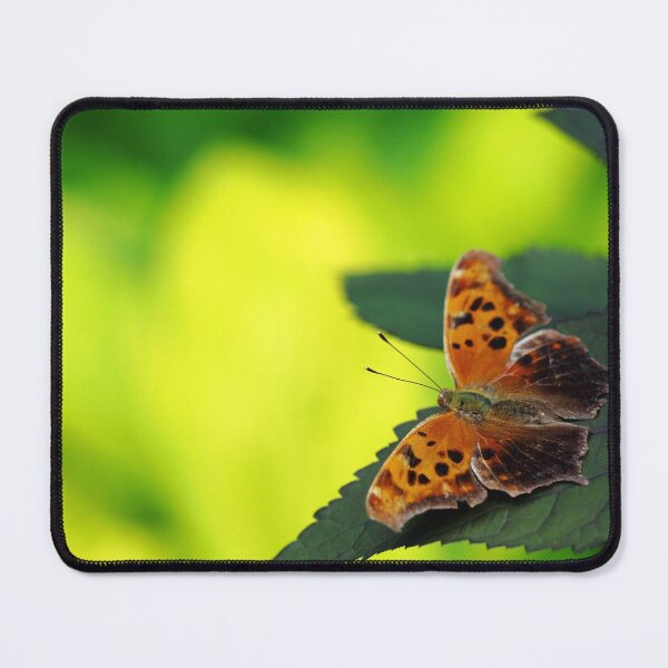 Item preview, Question For You designed and sold by Debbie Oppermann.