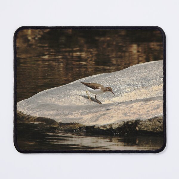 Item preview, Foraging Sandpiper designed and sold by Debbie Oppermann.