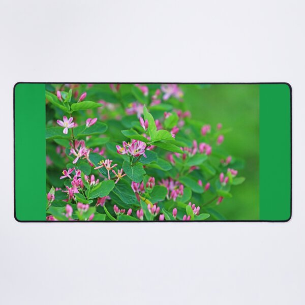 Item preview, Pink Honeysuckle designed and sold by Deb Oppermann.