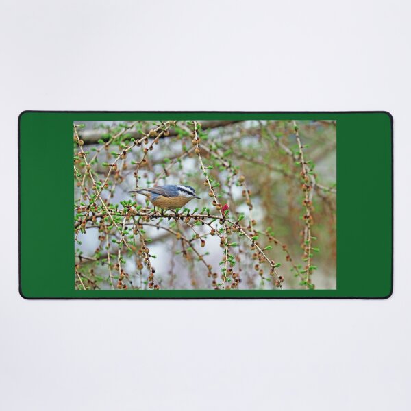 Item preview, Nuthatch In The Tamarack designed and sold by Deb Oppermann.