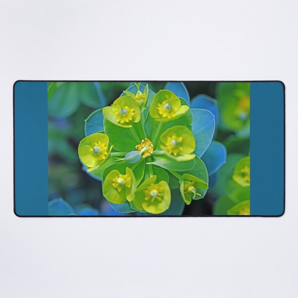 Item preview, Donkey Tail Spurge designed and sold by Deb Oppermann.