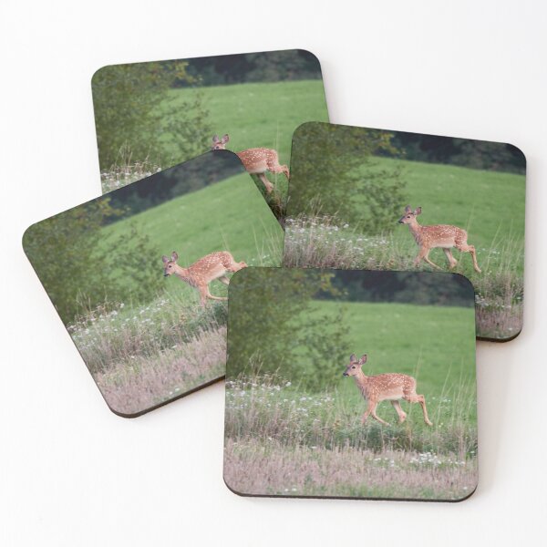 Item preview, Bambies have 4 legs. White-tailed deer designed and sold by Jouko Lehto Photography.