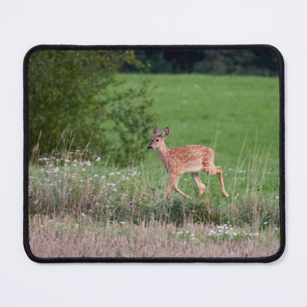 Item preview, Bambies have 4 legs. White-tailed deer designed and sold by Jouko Lehto Photography.