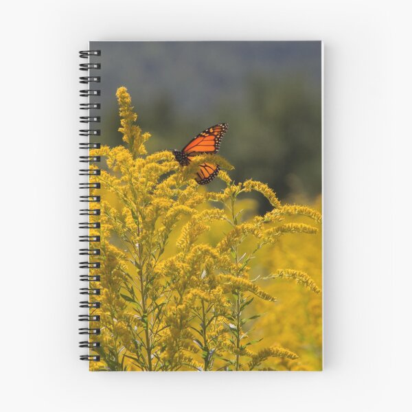 Item preview, Orange Butterfly on Goldenrod designed and sold by roadsidestills.