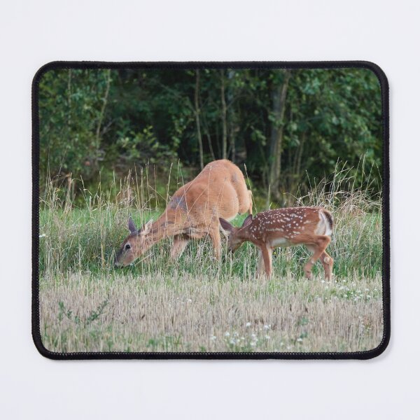 Item preview, Oh mamy blues. White-tailed deer designed and sold by Jouko Lehto Photography.