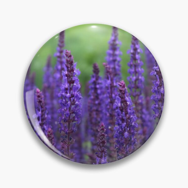 Item preview, It's not Purple. It's Lavender. designed and sold by mkellermedia.