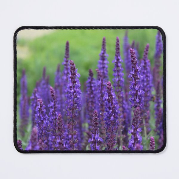 Item preview, It's not Purple. It's Lavender. designed and sold by mkellermedia.