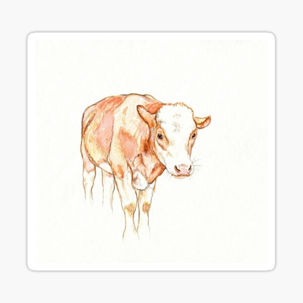 Brown Cow Sticker