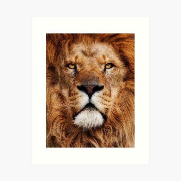 A True King Art Print