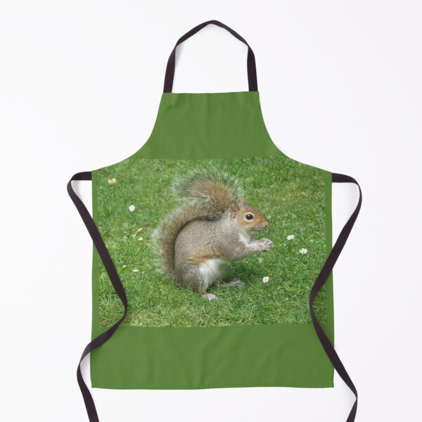 Item preview, Cute Grey Squirrel and Daisies Photograph designed and sold by naturegallery.