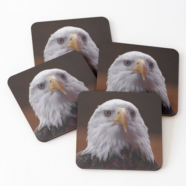 Item preview, American bald eagle portrait designed and sold by Zina Stromberg.